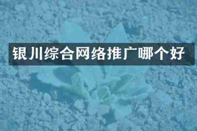银川综合网络推广哪个好