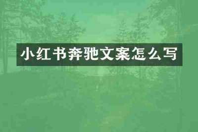 小红书奔驰文案怎么写