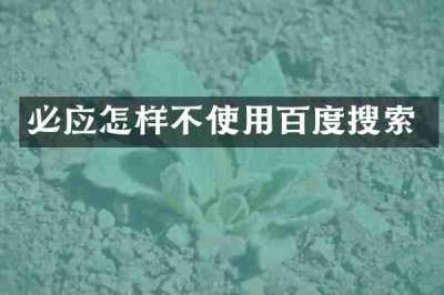 必应怎样不使用百度搜索
