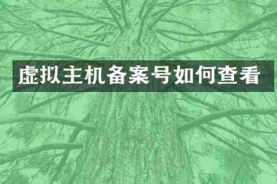 虚拟主机备案号如何查看