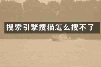 搜索引擎搜猫怎么搜不了