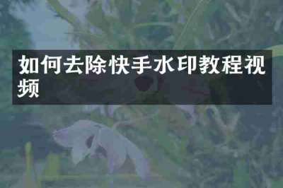 如何去除快手水印教程视频