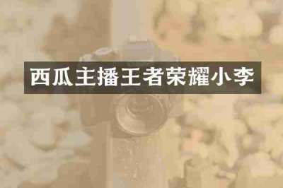 西瓜主播王者荣耀小李
