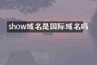 show域名是国际域名吗
