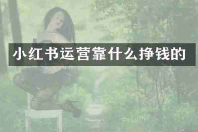 小红书运营靠什么挣钱的