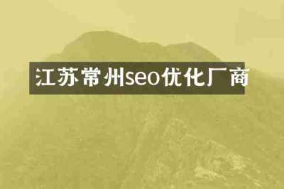 江苏常州seo优化厂商