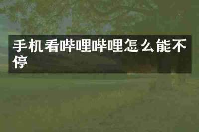 手机看哔哩哔哩怎么能不停