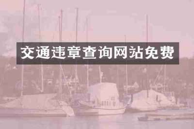 交通违章查询网站免费