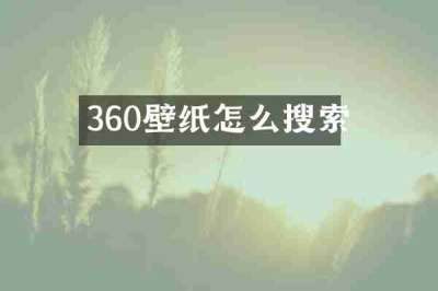 360壁纸怎么搜索