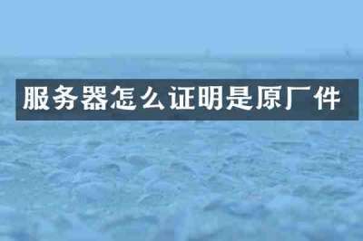 服务器怎么证明是原厂件