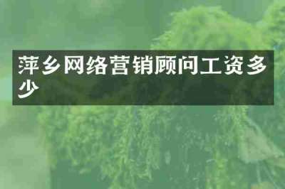 萍乡网络营销顾问工资多少