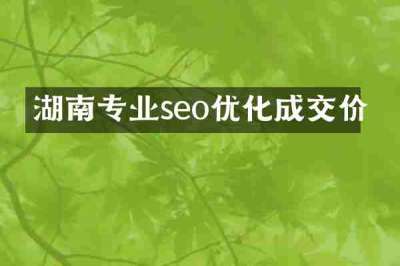湖南专业seo优化成交价