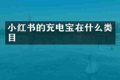 小红书的充电宝在什么类目