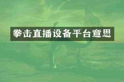拳击直播设备平台意思