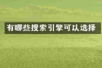 有哪些搜索引擎可以选择