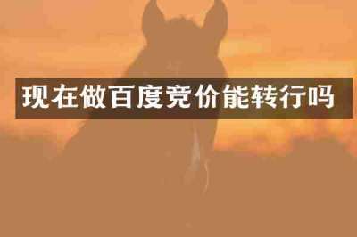 现在做百度竞价能转行吗