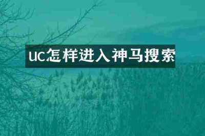 uc怎样进入神马搜索