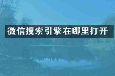 微信搜索引擎在哪里打开