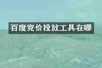 百度竞价投放工具在哪