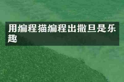 用编程猫编程出撒旦是乐趣