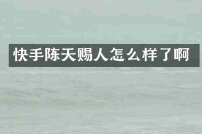 快手陈天赐人怎么样了啊