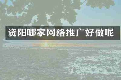 资阳哪家网络推广好做呢