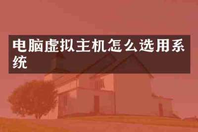 电脑虚拟主机怎么选用系统