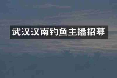 武汉汉南钓鱼主播招募