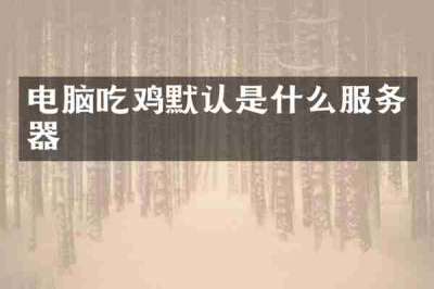 电脑吃鸡默认是什么服务器