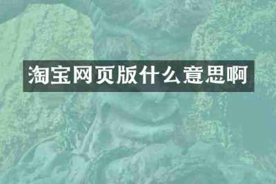 淘宝网页版什么意思啊