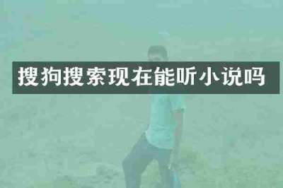 搜狗搜索现在能听小说吗