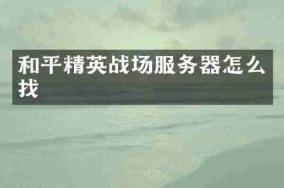 和平精英战场服务器怎么找
