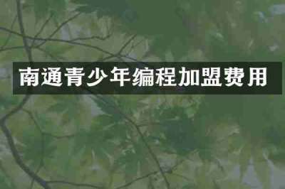 南通青少年编程加盟费用