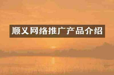 顺义网络推广产品介绍
