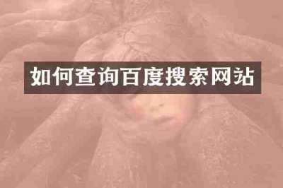 如何查询百度搜索网站