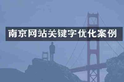 南京网站关键字优化案例