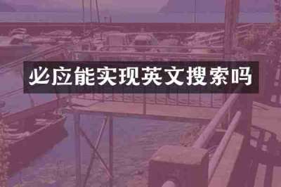必应能实现英文搜索吗