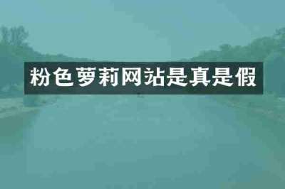 粉色萝莉网站是真是假