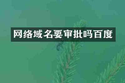 网络域名要审批吗百度