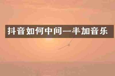 抖音如何中间一半加音乐