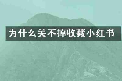 为什么关不掉收藏小红书