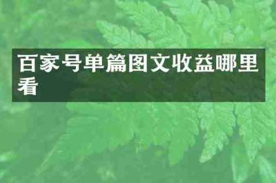 百家号单篇图文收益哪里看