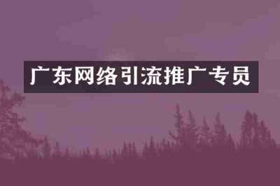 广东网络引流推广专员