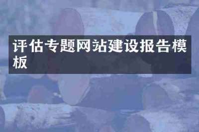评估专题网站建设报告模板