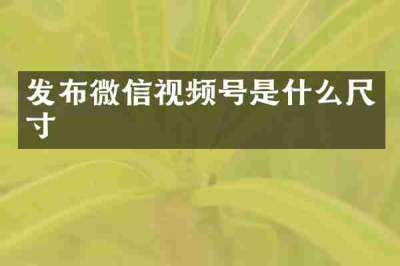 发布微信视频号是什么尺寸