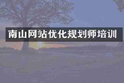 南山网站优化规划师培训