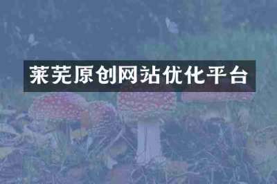 莱芜原创网站优化平台