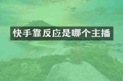 快手靠反应是哪个主播