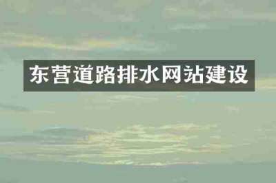 东营道路排水网站建设