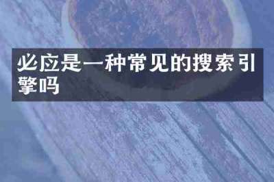必应是一种常见的搜索引擎吗